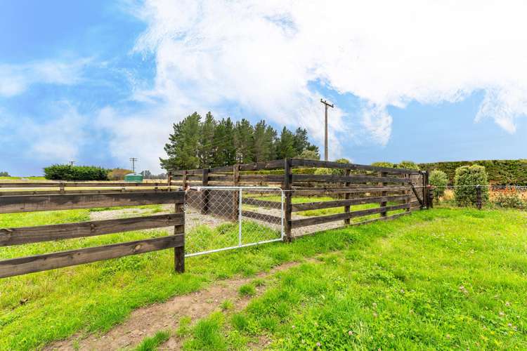 8 Minnie Street & 0 Molloys Road Waimate_19