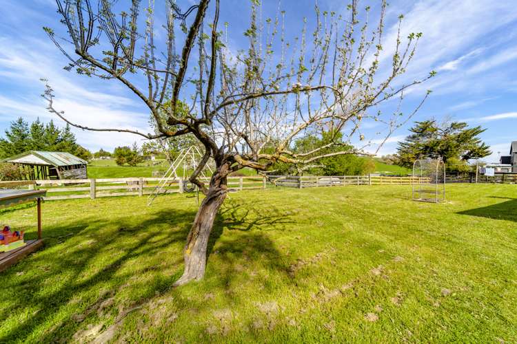 86 Tod Road Otane_20