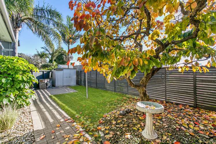 1467 Great North Road Waterview_14