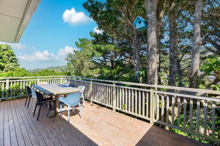 33 Finnimore Terrace Vogeltown_14