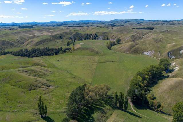 300 Pattison Road Waipukurau_3