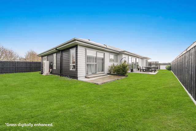 84 Arnott Street Feilding_3
