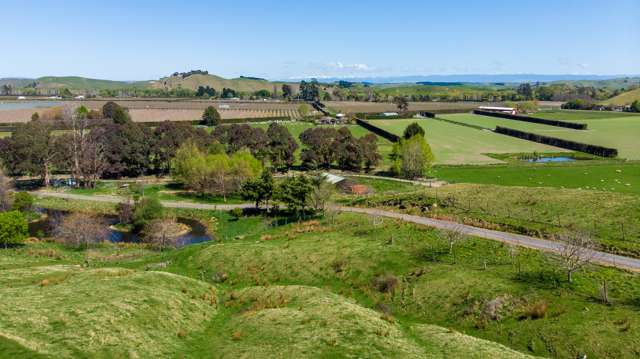 438 Puketapu Road Puketapu_3