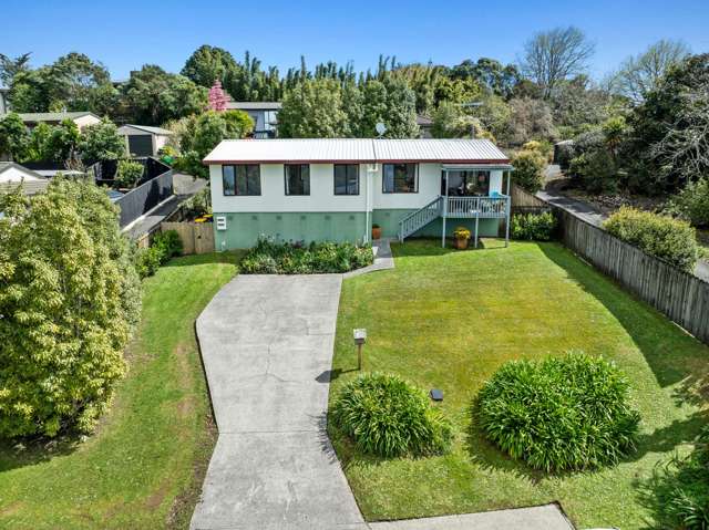 28 Kotinga Ave Glen Eden_4