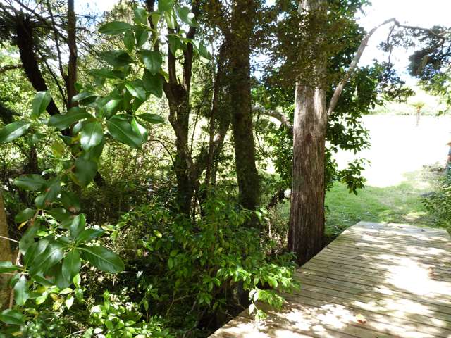 Native Bush - Water - Peaceful Vista