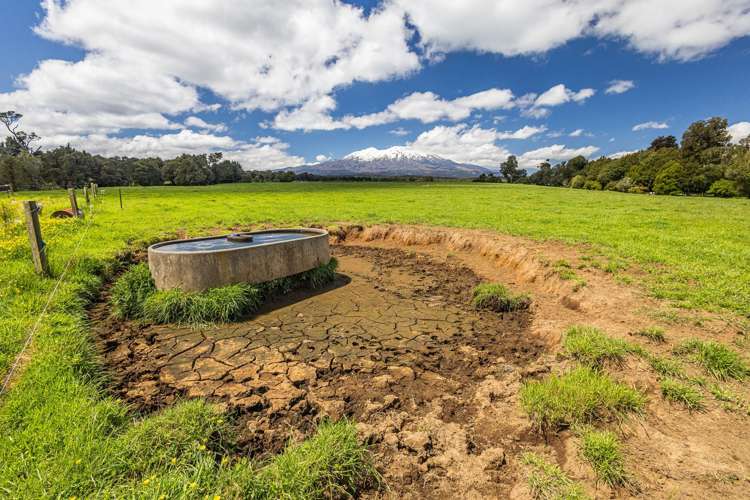 Lot 4, 136 Matapuna Road Horopito_6