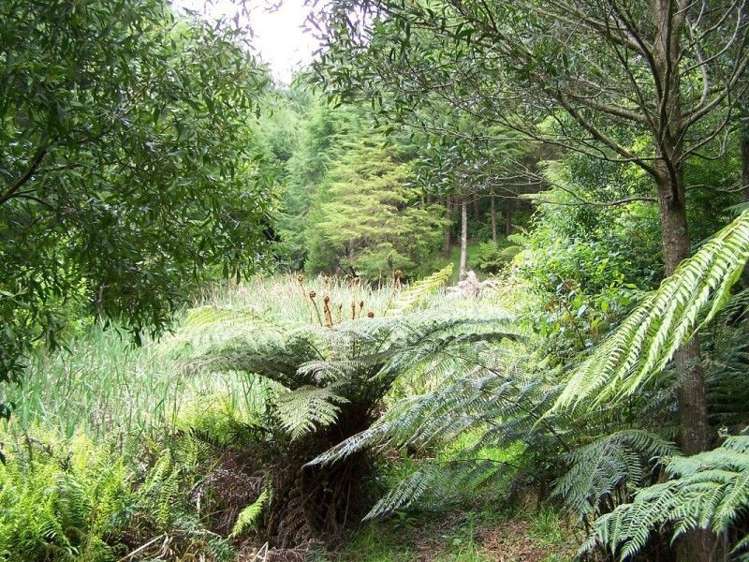 301 Pretoria Road Shannon_15