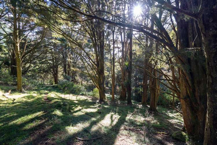 45 Monument Road Kawakawa_29
