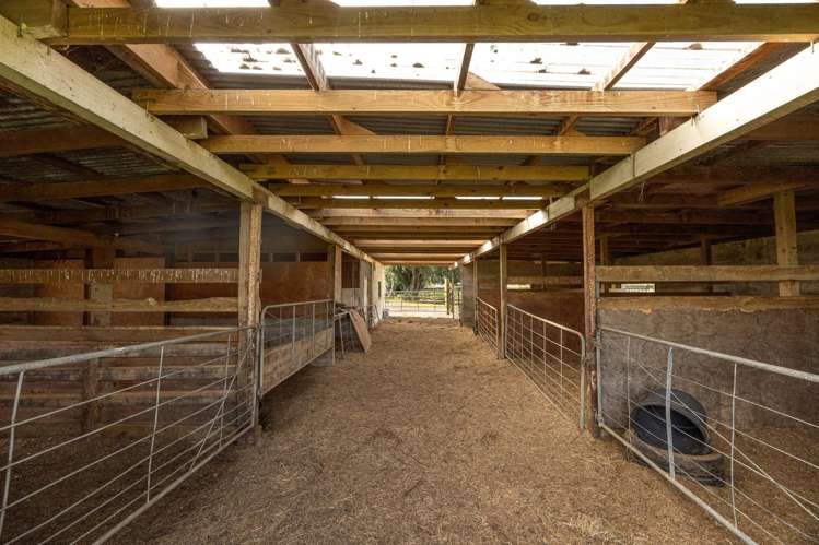 493 Driver Road Ngaruawahia_10