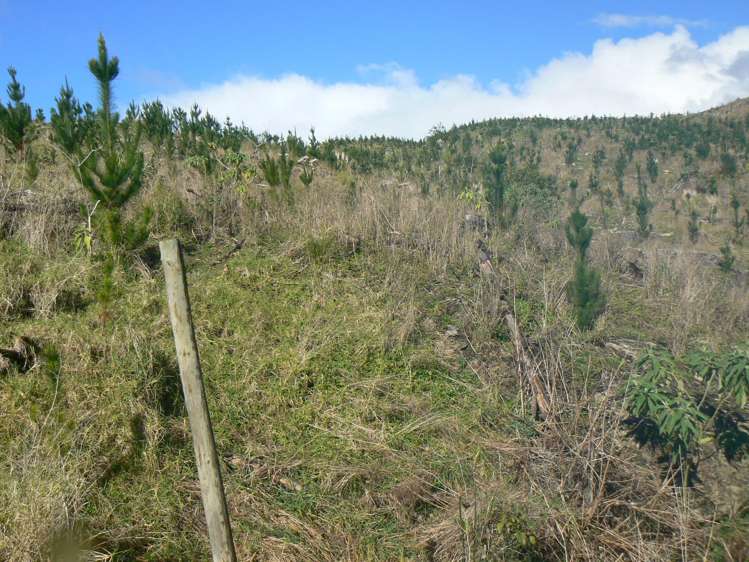 LOT 6 Iwitaua Road Mangamuka_9
