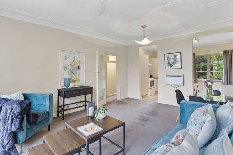 4c Alva Street Dunedin Central_10