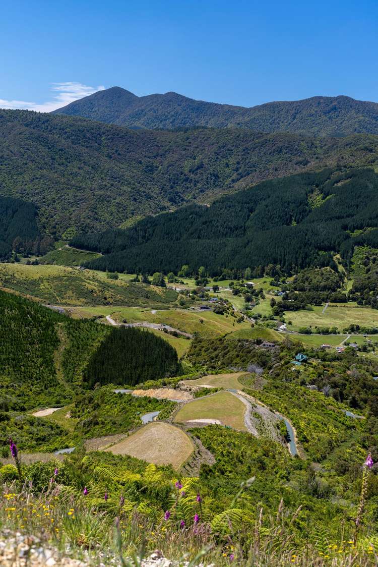 Cable Bay Road Hira_28