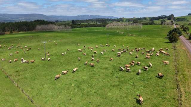 374 Rakauwahia Road Taheke_2