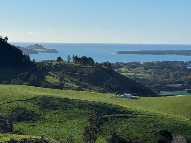 35 Canon Road Katikati_4