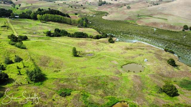 215c Heatley Road Whakapirau_3