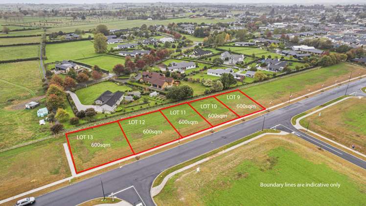 38 Peakedale Drive Matamata_3