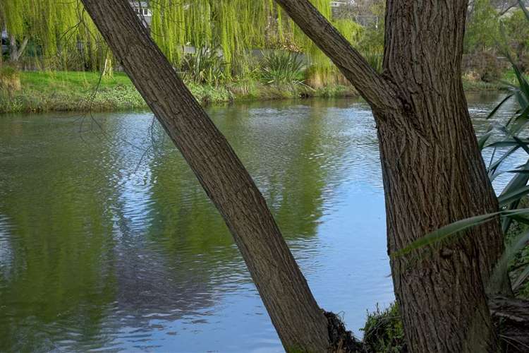 21 Aynsley Terrace Hillsborough_18