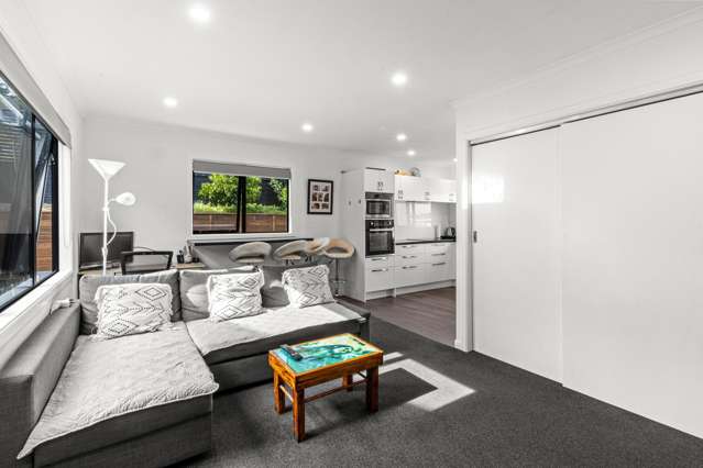 17C Parsons Street Vogeltown_1