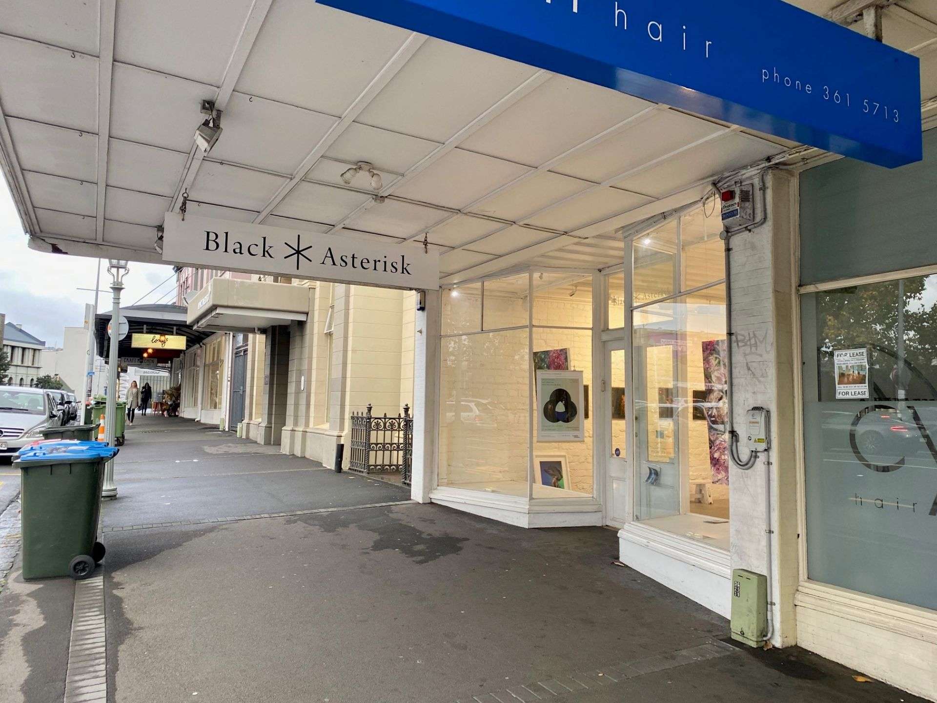 10 Ponsonby Road Grey Lynn_0