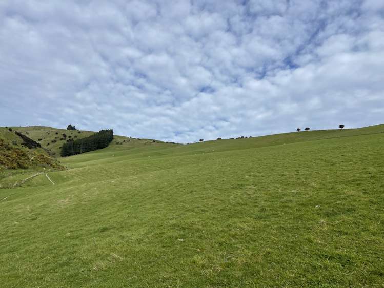 186 Murray Road Lawrence_6