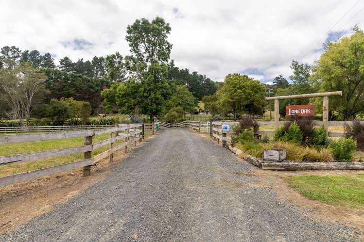 139 Old Mountain Road Karamu_15