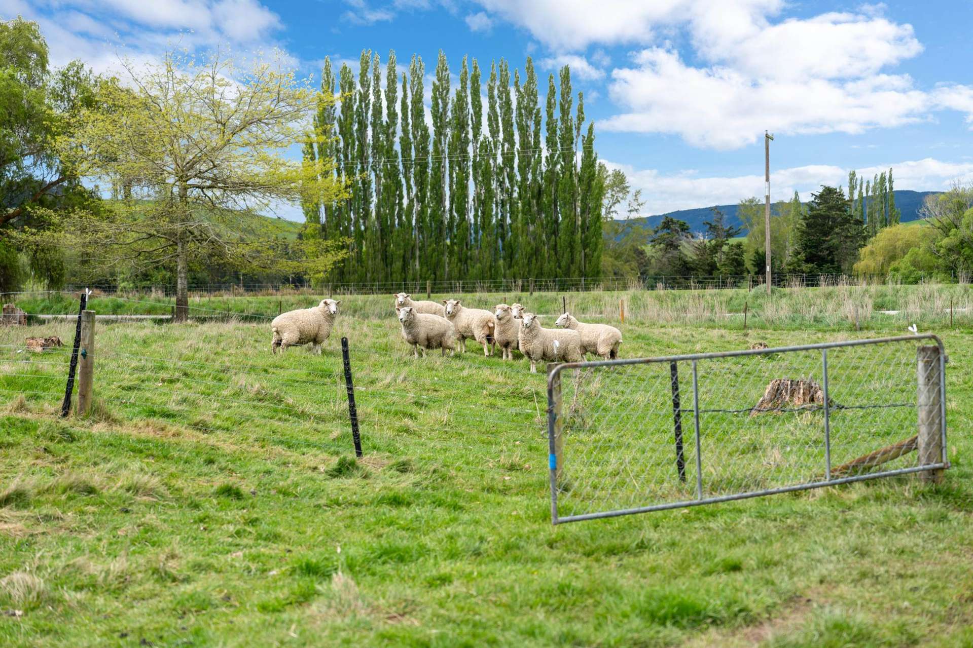 1 Pallion Street Lawrence_0