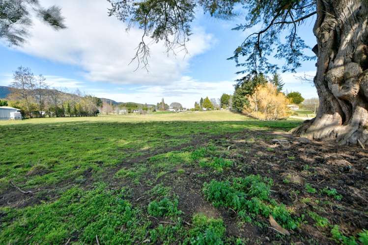 Braudigam Road East Tapanui_9