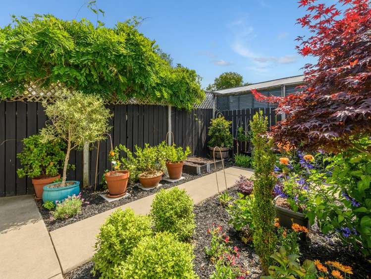 11c Arundel Street Tauranga Central_21