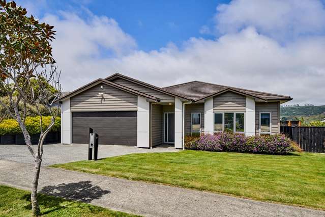 25 Paparoa Crescent Aotea_1