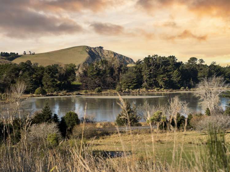 11 Seddon Street Waikouaiti_11