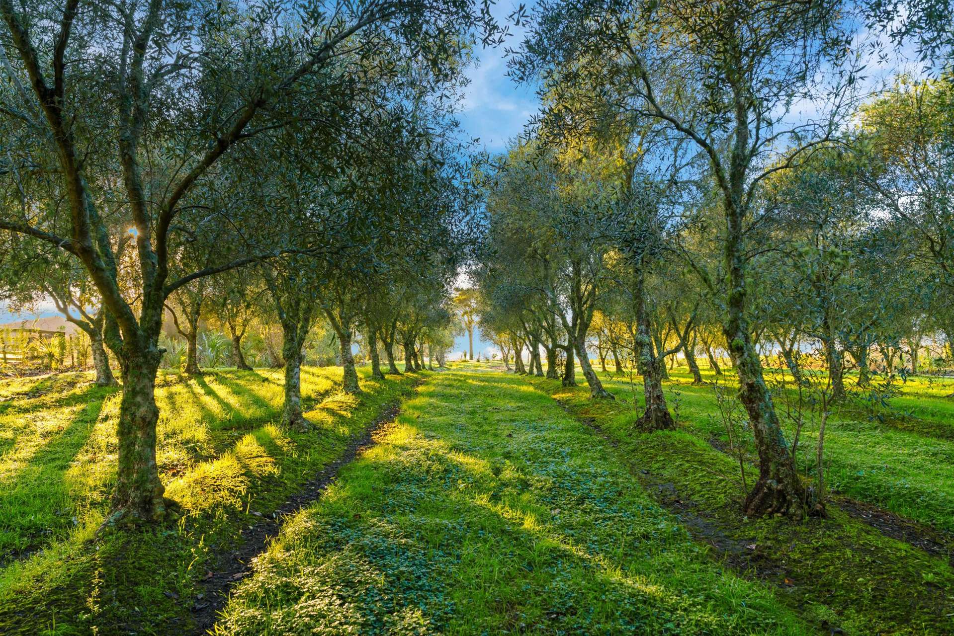 Lot 3, 2282 Cove Road Mangawhai_0