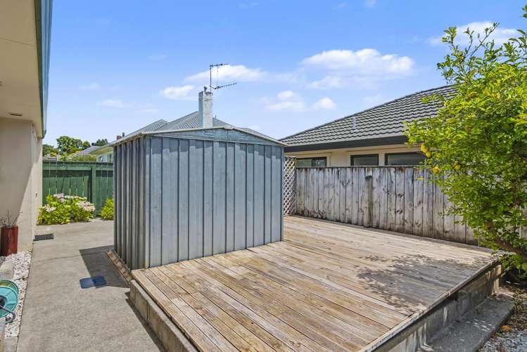 4 Clark Street Levin_16