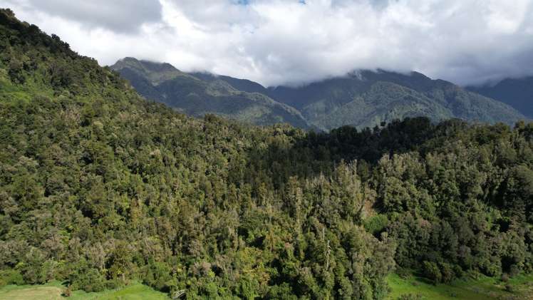 State Highway 6 Runanga_8