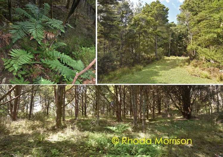 280 Central Road Mareretu_14