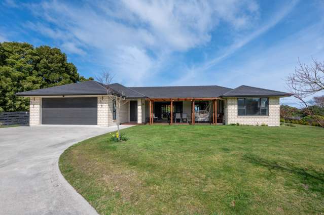 16 Lacebark Drive Kinloch_1