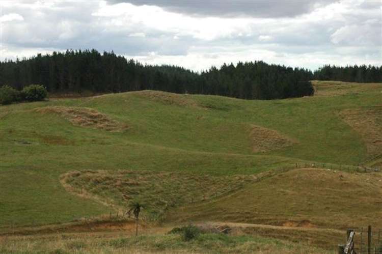 Waiti Road Tahuna_13