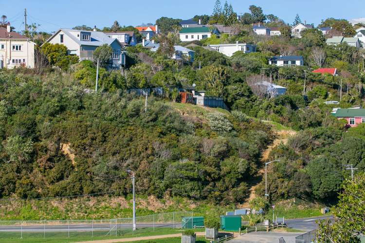 76 Curtis Street Northland_2