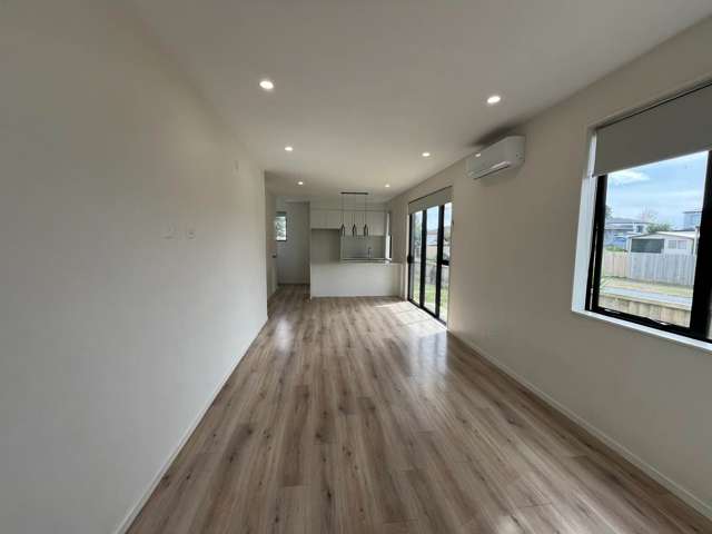 Pallant Street Manurewa_2