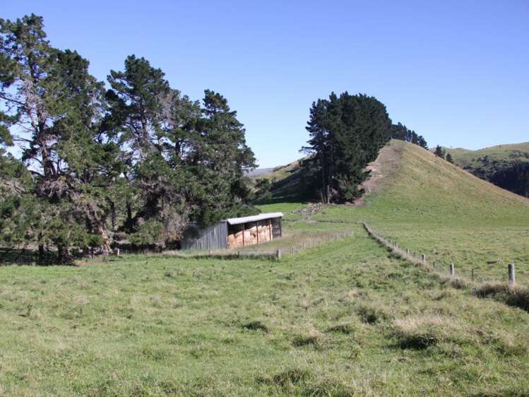 1007 Motunau Beach Road Motunau_16