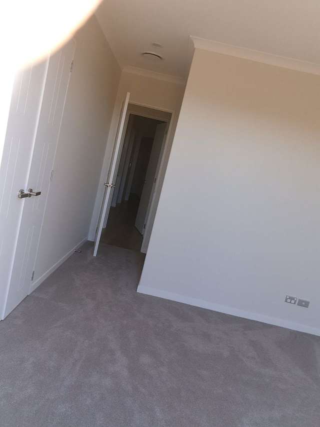 127 Thomas Road Flat Bush_3