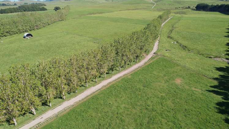 374 Rakauwahia Road Taheke_3