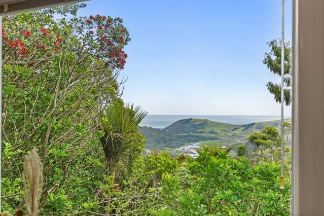 143 Jonkers Road Waitakere_2