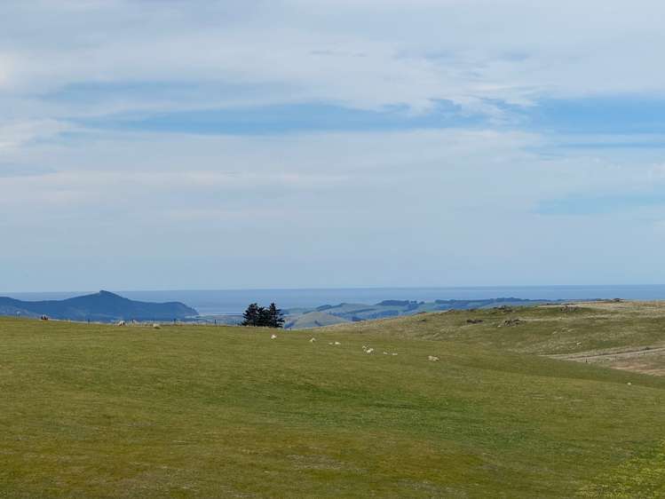 659 Ritchie Road Dunback_26