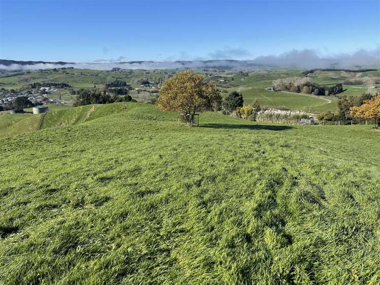 80a Mangaotaki Road Piopio_39