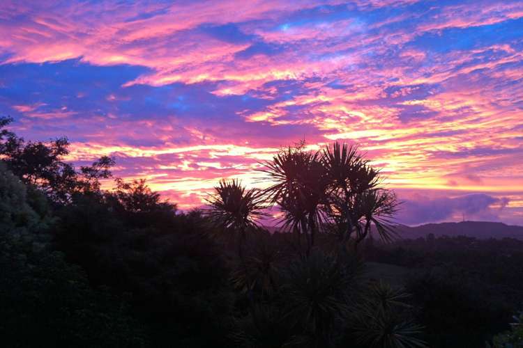 20 Phillip Avenue Glen Eden_24