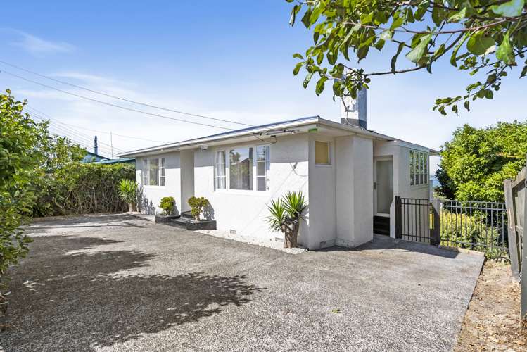 65 Carlton Street Hillsborough_19