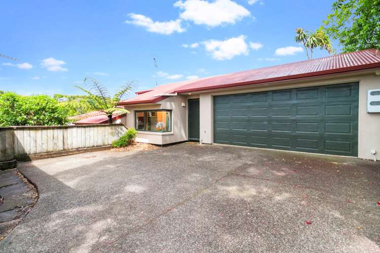 37A Hendry Avenue Hillsborough_13