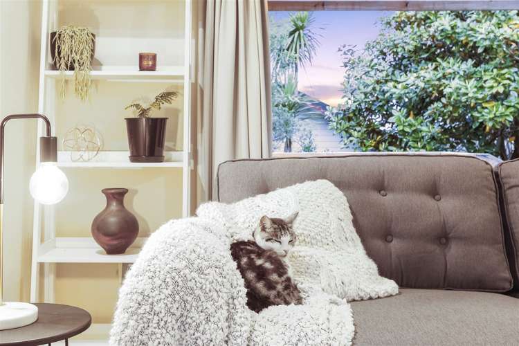 47h Ambler Avenue Glen Eden_2