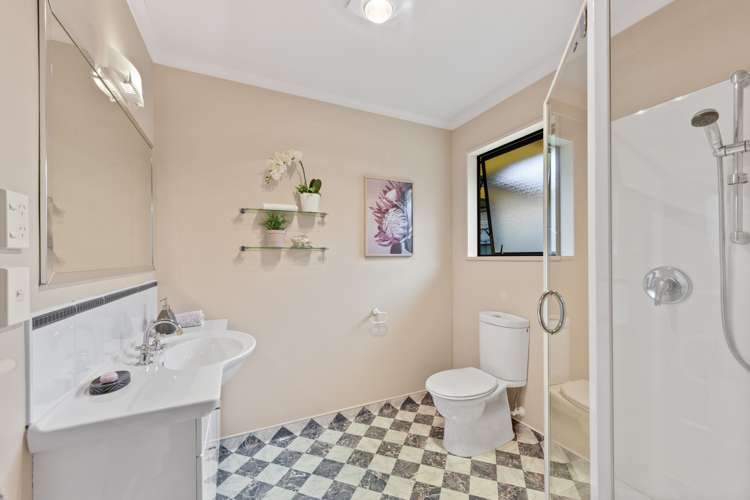 6a Tasman Street The Wood_18