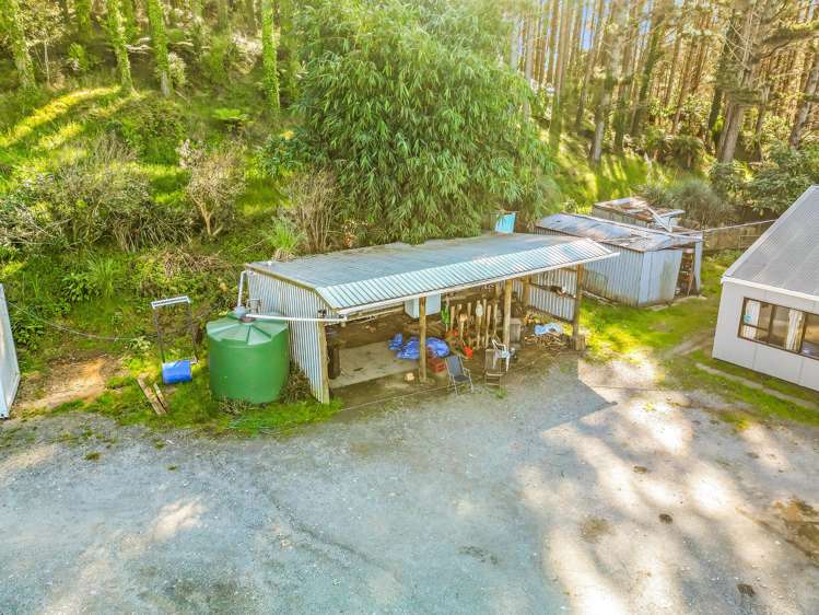 110 Whangape Track Road Broadwood_38